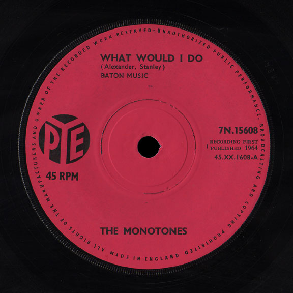 Monotones Pye 45 What Would I Do