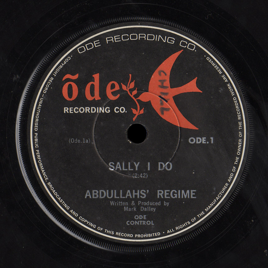 Abdullahs' Regime Ode 45 Sally I Do