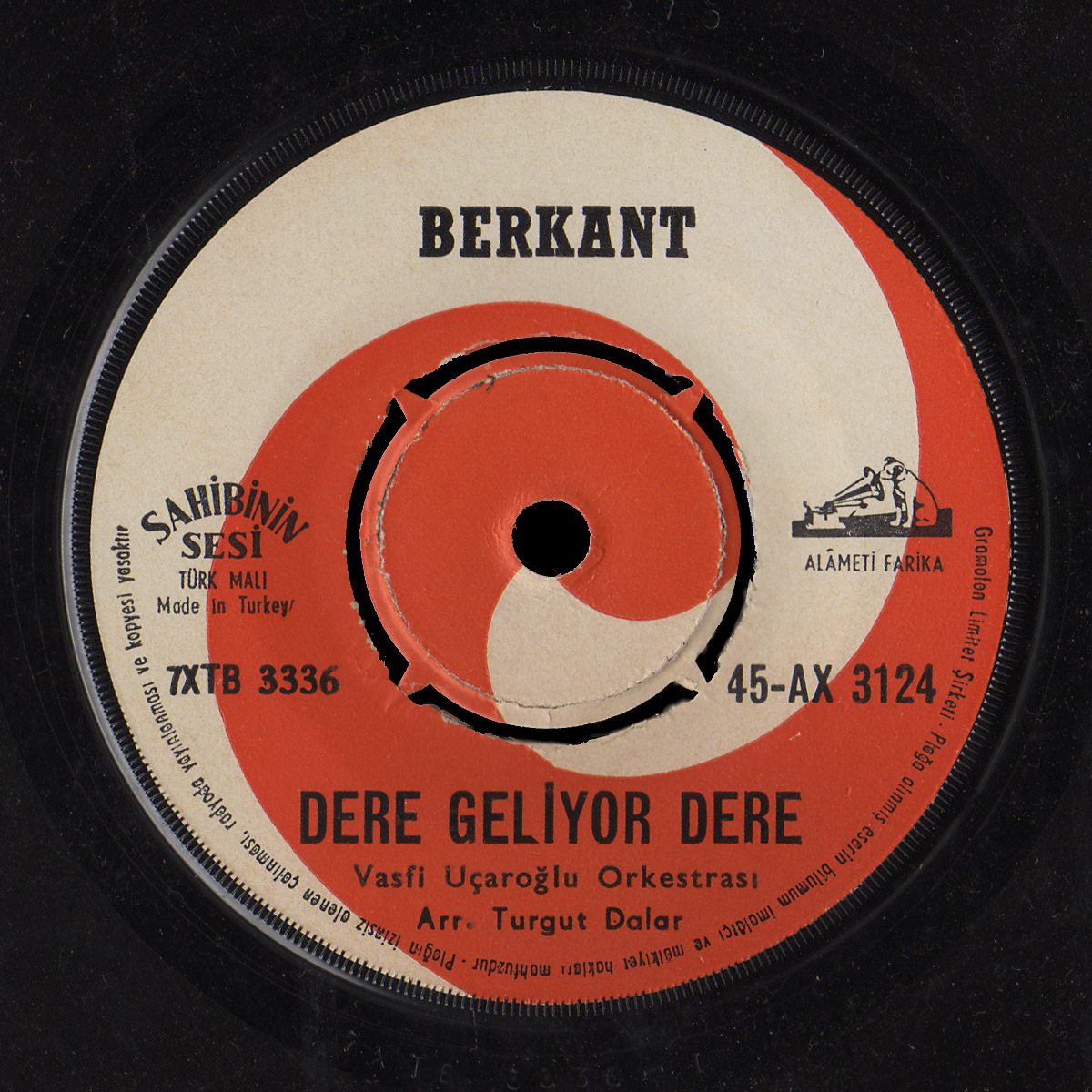 Berkant with the Vasfi Uçaroğlu Orkestrasi 45