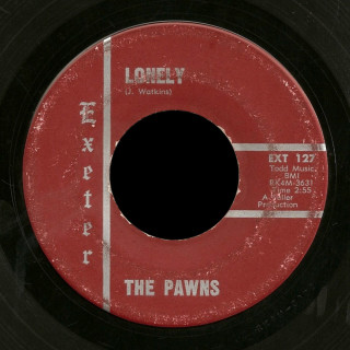 The Pawns Exeter 45 Lonely