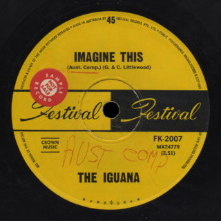Iguana Festival 45 Imagine This