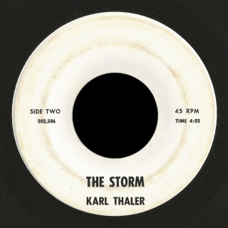 Karl Thaler 45 The Storm