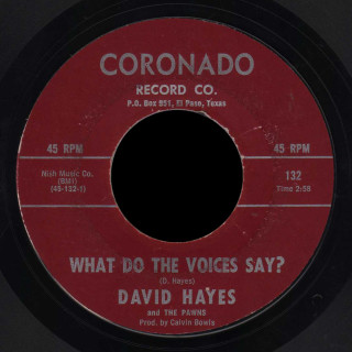 David Hayes and the Pawns Coronado 45 What Do the Voices Say