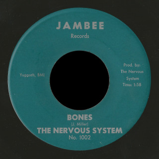 The Nervous System Jambee 45 Bones
