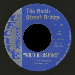 The Ninth Street Bridge Cecile 45 Wild Illusions