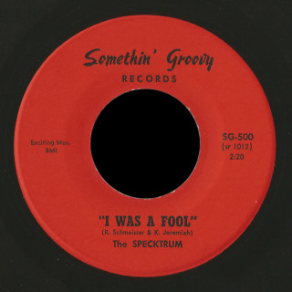 The Specktrum Somethin' Groovy 45 I Was A Fool