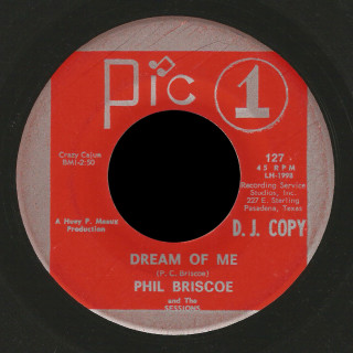 Phil Briscoe And The Sessions Pic 1 45 Dream Of Me