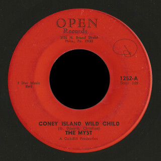 The Myst Open 45 Coney Island Wild Child