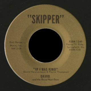 David And The Boys-Next-Door Skipper 45 If I Was King
