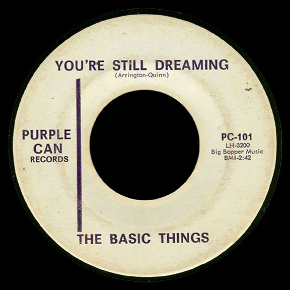 Basic Things Purple Can 45 You're Still Dreaming