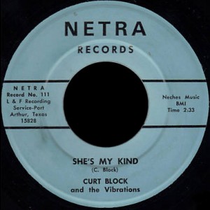 Curt Block & the Vibrations Netra 45 She's My Kind