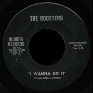 Roosters Buddha 45 I Wanna Do It