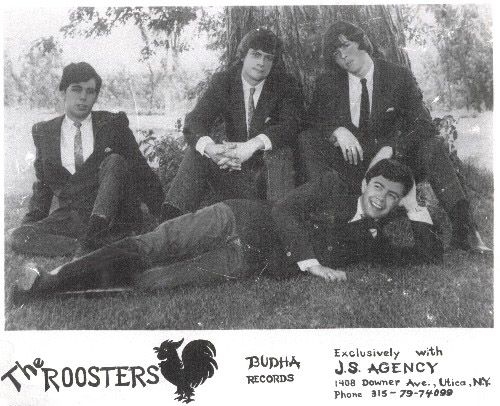 The Roosters Photo 2