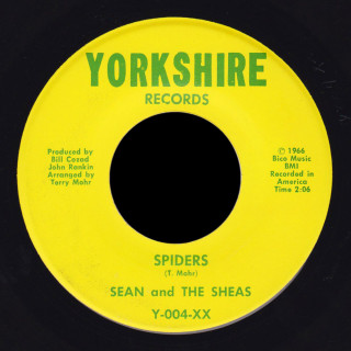 Sean and the Sheas Yorkshire 45 Spiders