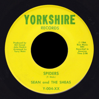 Sean and the Sheas Yorkshire 45 Spiders