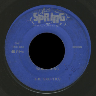 The Skeptics Spring 45 Wondering