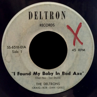 The Deltrons Deltron 45 I Found My Baby In Bad Axe