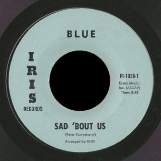 Blue Iris Records 45 Sad 'Bout Us